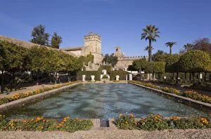 Gardens - of the Alcazar de Los Reyes Cristianos