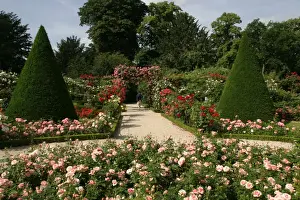 Footpaths Prints: Gardens - Bagatelles Park Allee de Longchamp, between Sevres and Neuilly - Paris