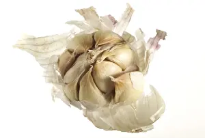 Fruit And Veg Prints: Garlic Bulb showing individual cloves