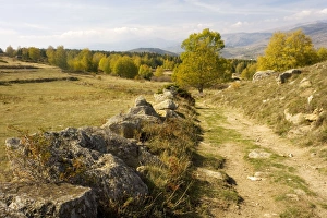 Images Dated 16th October 2007: General view of high plateau in east Pyrenees, west of Eyne, nr