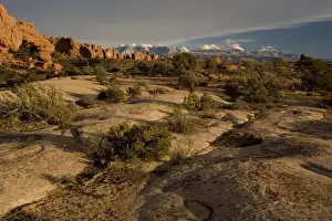 General view across The Windows area towards La Sal mountains, in winter. Arches National Park, Utah. Evening light
