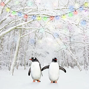 Gentoo Penguin - in winter woodland with snow and Christmas lights