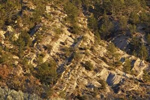 Images Dated 20th December 2005: Geographical folds - The Baronnies - Drome - France