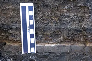 Layers Prints: GEOLOGY: K-T boundary Close-up of the K-T boundary claystone layer at the Sussex locality