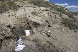 GEOLOGY: K-T boundary Sussex site, north of Casper, Wyoming Collecting a sample of rock at the K-T boundary for museum display. The sample includes Cretaceous rocks under the boundary, the boundary layer