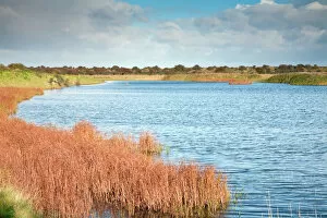 Protection Collection: Gibraltar Point - National Naure Reserve - Lincolnshire - UK