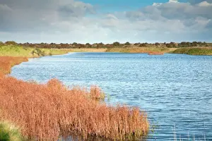 Protection Prints: Gibraltar Point - National Naure Reserve - Lincolnshire - UK