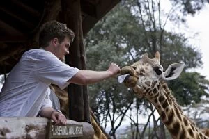 Images Dated 9th August 2007: Giraffe - tourists feeding giraffes