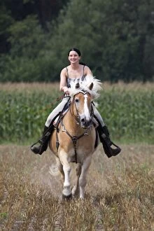 Images Dated 14th August 2009: Girl riding a Haflinger / Avelignese horse