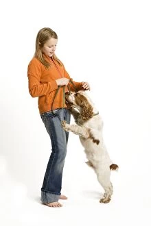 Girl - in studio with Springer Spaniel jumping up