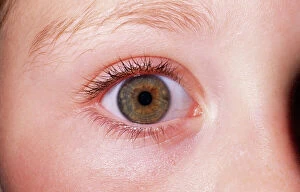 GirlOA┬│ EYE - close-up of single hazel eye