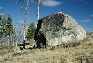 Boulders Prints: Glacial Erratic A huge boulder moved by ancient glacier, Yellowstone National Park