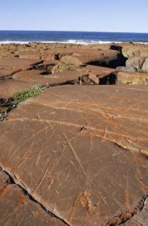 Images Dated 30th June 2005: Glacial Striations - on precambrian rock polished by glaciers. Churchill, manitoba, Canada