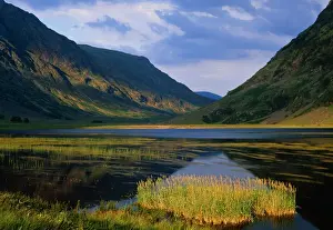 Landscapes Prints: Glen Coe - Scotland LA000107