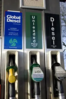 Fuel Prints: Global biodiesel sign on pump. The Green Shop garage Bisley near Stroud UK