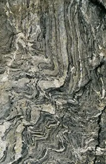 Gneiss Prints: Gneiss Metamorphic Rock, Venezuela, Merida Andes, alt. 4700m