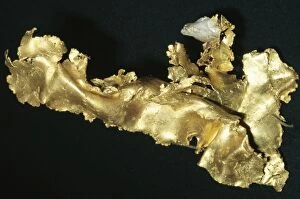Images Dated 2nd June 2004: Gold (Native Element) Grass Valley, Neveda County, California