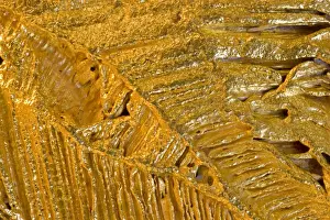 Metals Prints: Gold Specimen - Icaburu - Santa Elena-Venezuela