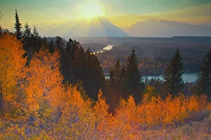 Aspen Gallery: Golden aspens above Snake River at sunset