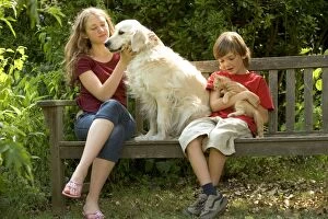 Golden Retriever - sitting on bench with girl and