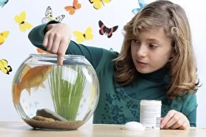 Goldfish - being fed by young girl