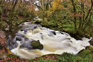 Images Dated 12th November 2012: Golitha Falls - Autumn