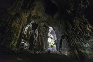 Gomantong Caves interior