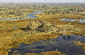 The Gomoti River with its adjoining freshwater marshland