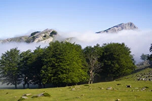 Images Dated 8th August 2011: Gorbea Natural Park. Lekanda mount between
