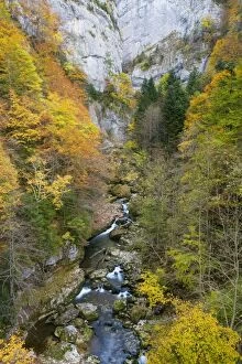 Images Dated 20th October 2007: Gorges de La Bourne, in the Vercors Mountains, Autumn. Limestone. South-east France