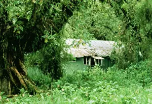 House Prints: The Gorilla Story Dian Fossey's house at Karisoke Camp in Parc des Volcan reservation