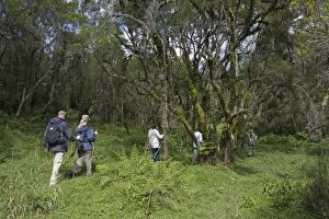 Images Dated 30th December 2010: Gorilla Tourism - trek with tourists and armed guard