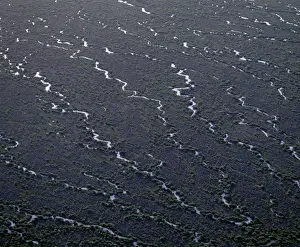 Meandering Prints: Goyder Lagoon Simpson Desert, South Australia JPF41557
