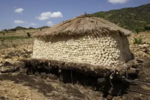 Cereals Prints: Granary of Maize / Corn / Sweetcorn. Gidole - Ethiopia