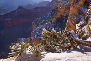 Grand Canyon - panoramic view from the Rim Trail into the Grand Canyon - sunrise - Grand Canyon National Park - South Rim - Arizona - USA