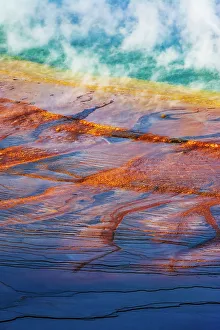 Danita Delimont Gallery: Grand Prismatic Spring, Yellowstone National Park