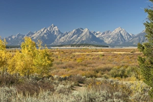 Images Dated 21st September 2007: Grand Teton Range - Grand Teton NP, USA