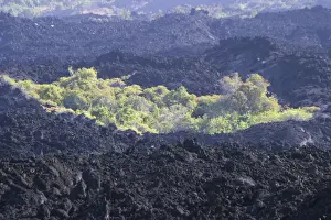 Mayotte Prints: Grande Comore Island - Lava from Karthala Volcano Indian Ocean