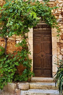 Grapevine surrounding front door to home