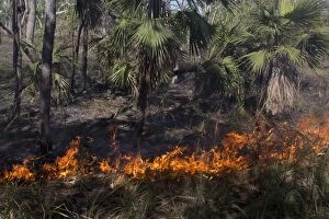 Grass fire Peppimenarti Community Northern Territory