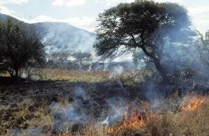 Images Dated 14th May 2004: Grass Fire Pilanesberg National Park, South Africa