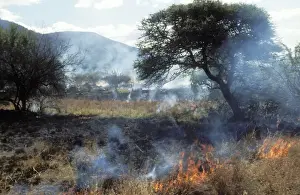 Smoking Prints: Grass Fire Pilanesberg National Park, South Africa