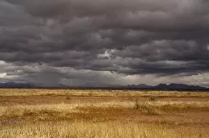 Grasslands and mountains near Douglas on the Arizona - Mexico border on a stormy winter evening