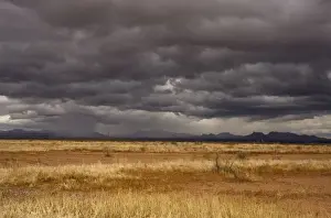 Storms Prints: Grasslands and mountains near Douglas on the Arizona - Mexico border on a stormy winter evening