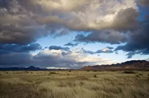 Grasslands and mountains near Portal on the Arizona - New Mexico border on a stormy winter evening