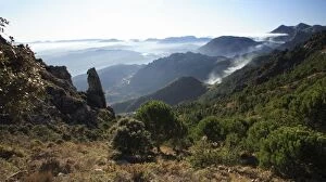 Images Dated 1st January 2008: Grazalema National Park - mountains with morning mist, Andalucia, Spain