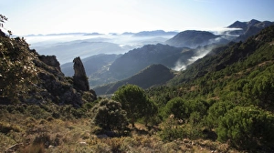 Images Dated 1st January 2008: Grazalema National Park - mountains with morning mist, Andalucia, Spain
