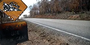 Fires Prints: Great Alpine Road near Omeo JLR 22 Bush fire aftermath North East Victoria
