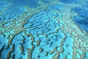 Great Barrier Reef JPF 9528 Hardy reef. Hard coral formations. Queensland Australia. &copy; Jean-Paul Ferrero / ardea. com