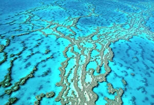 Seascapes Collection: Great Barrier Reef Marine Park - Hardy Reef Queensland, Australia